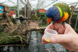 Even op deze foto klikken voor een kleine impressie...