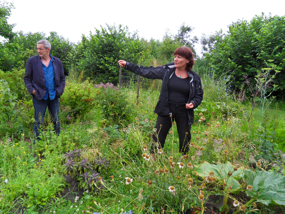 SAMSUNG DIGITAL CAMERA