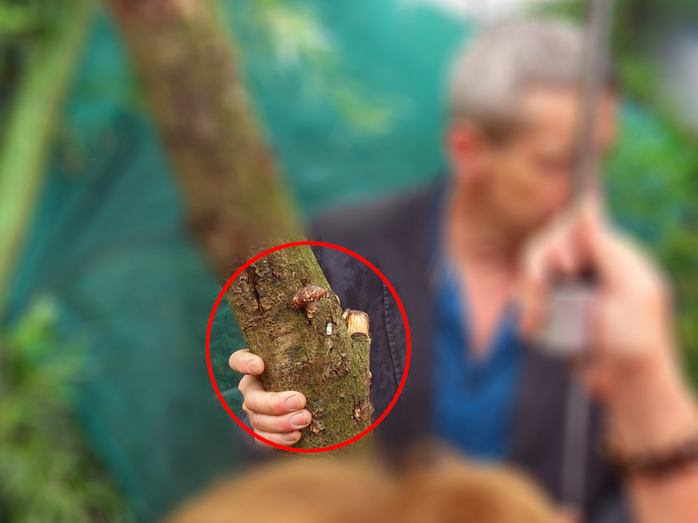 SAMSUNG DIGITAL CAMERA