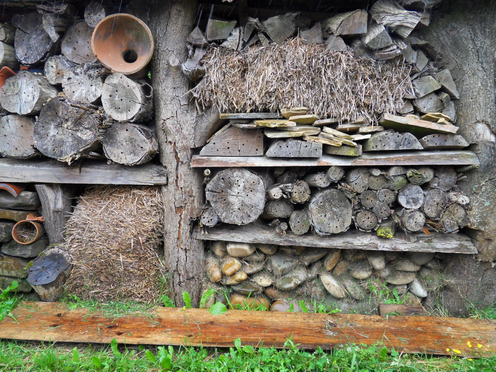 SAMSUNG DIGITAL CAMERA